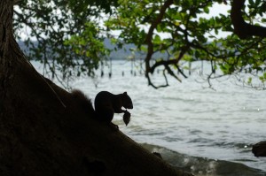 DSC04734  